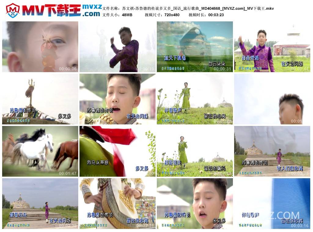 苏文祺-苏鲁德的传说多又多_国语_流行歌曲_MD404668